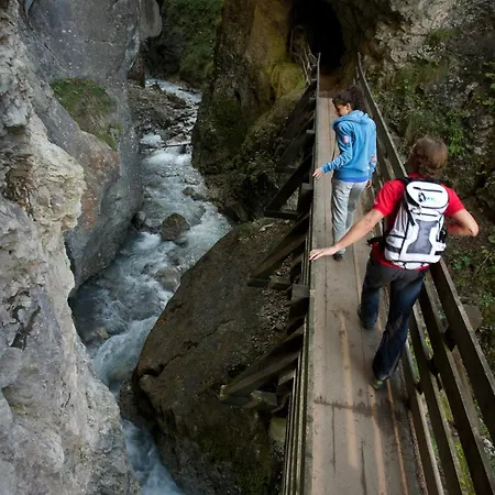 Отель Auderer 3*